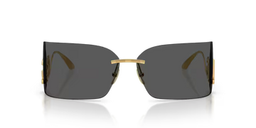 Gafas Dolce&Gabbana DG2319-02/87 Originales