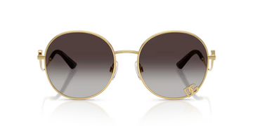 Gafas Dolce&Gabbana DG2324-02/8G Originales