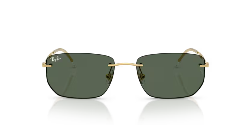 Gafas Ray-Ban RB3768-001/71 Originales