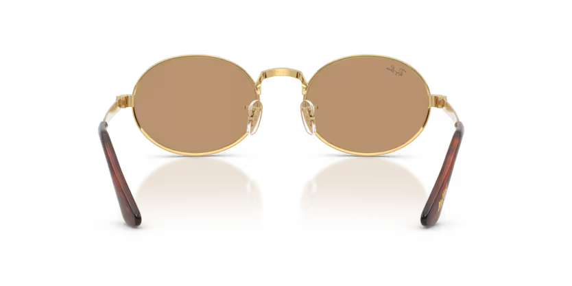 Gafas Ray-Ban RB3931-001/53 Originales