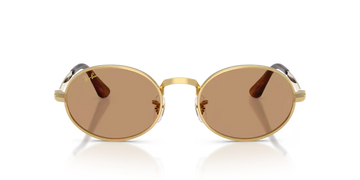 Gafas Ray-Ban RB3931-001/53 Originales