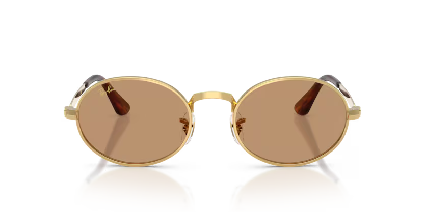 Gafas Ray-Ban RB3931-001/53 Originales