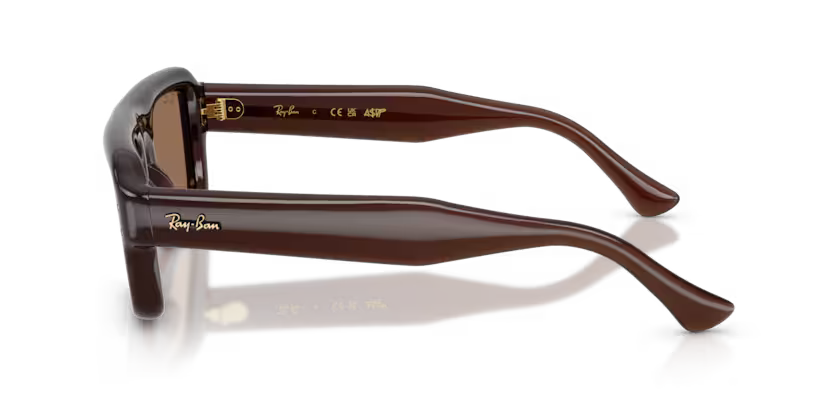 Gafas Ray-Ban RB4954-689673 Originales