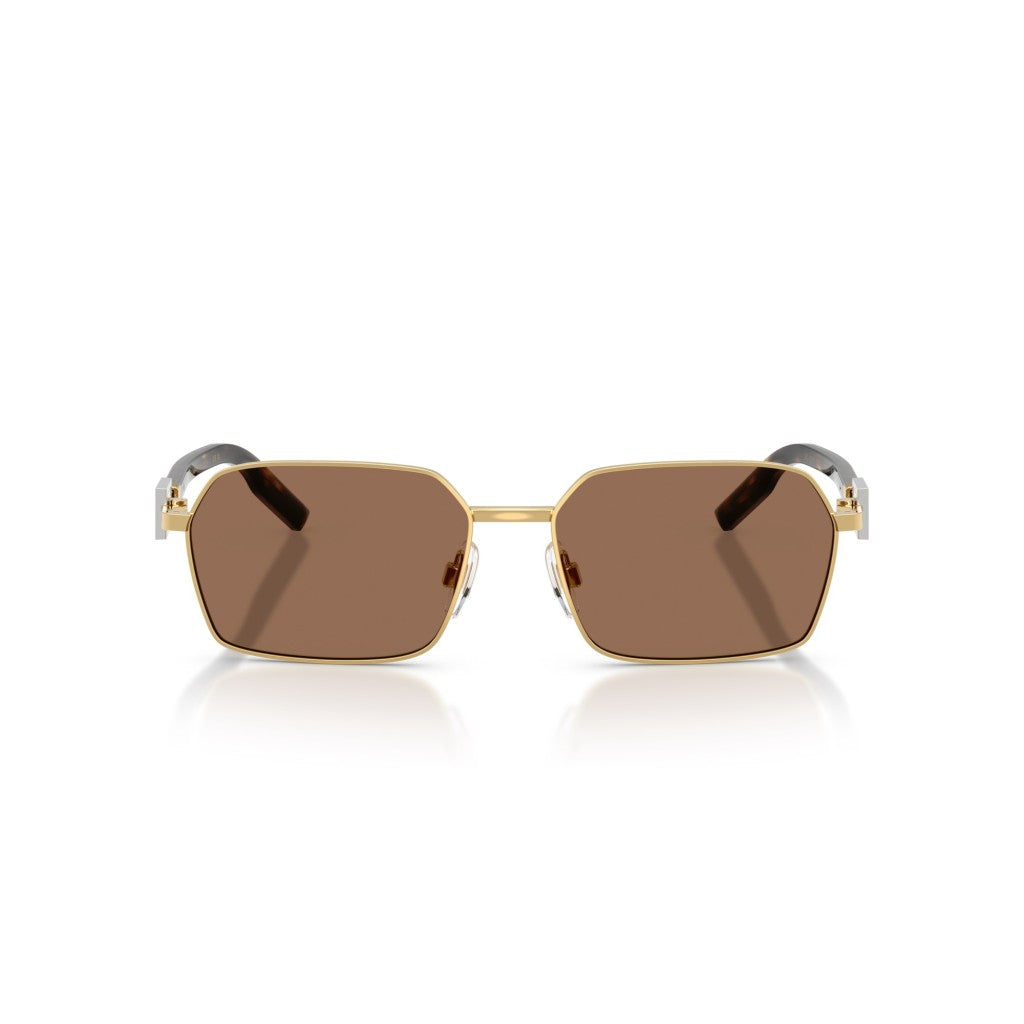 Gafas Dolce&Gabbana DG2316 02/73 Originales